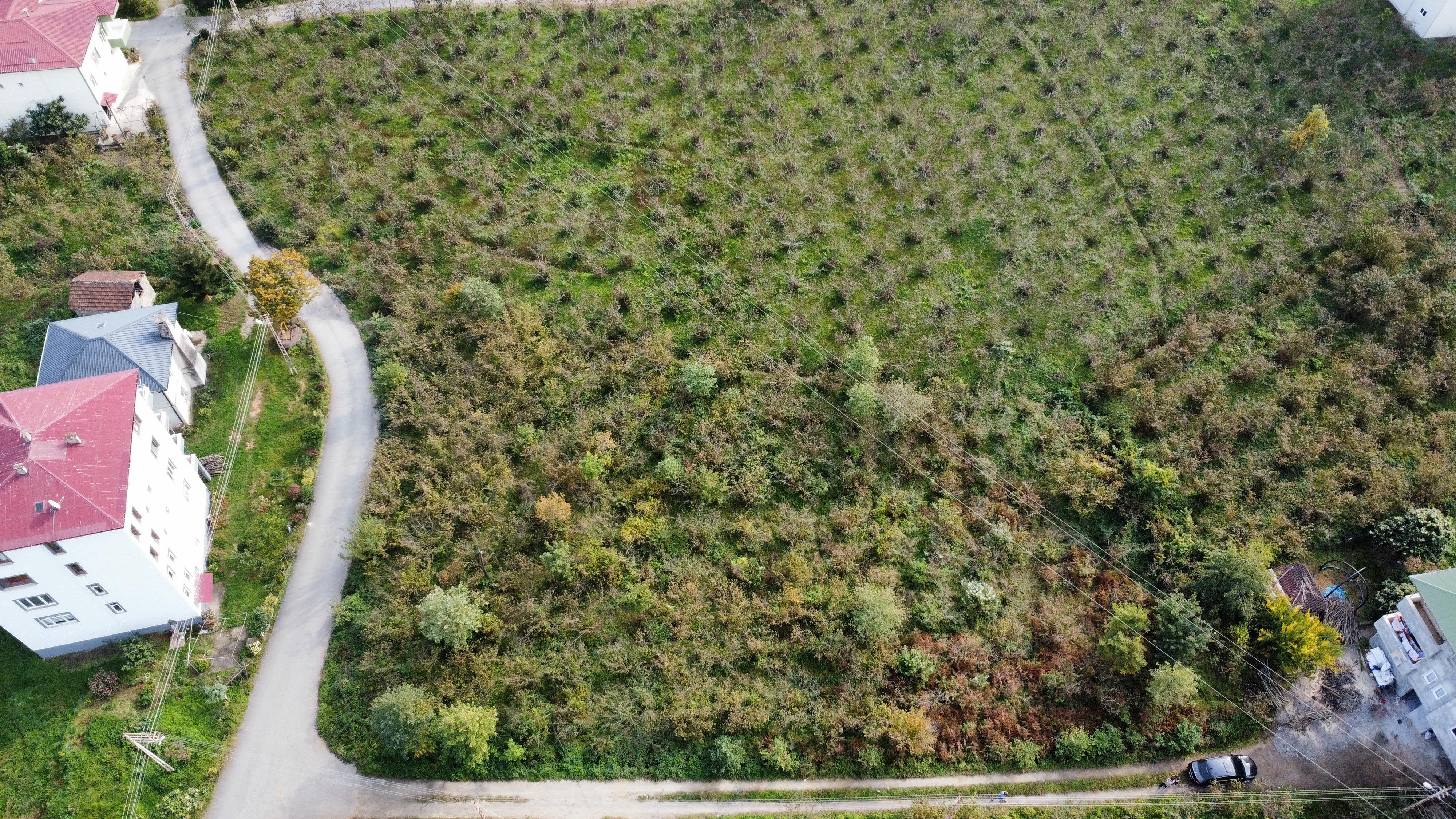 MABEL GAYRİMENKUL ARSİN ANAYOLA YAKIN 1.100 M2 İMARLI ARSA